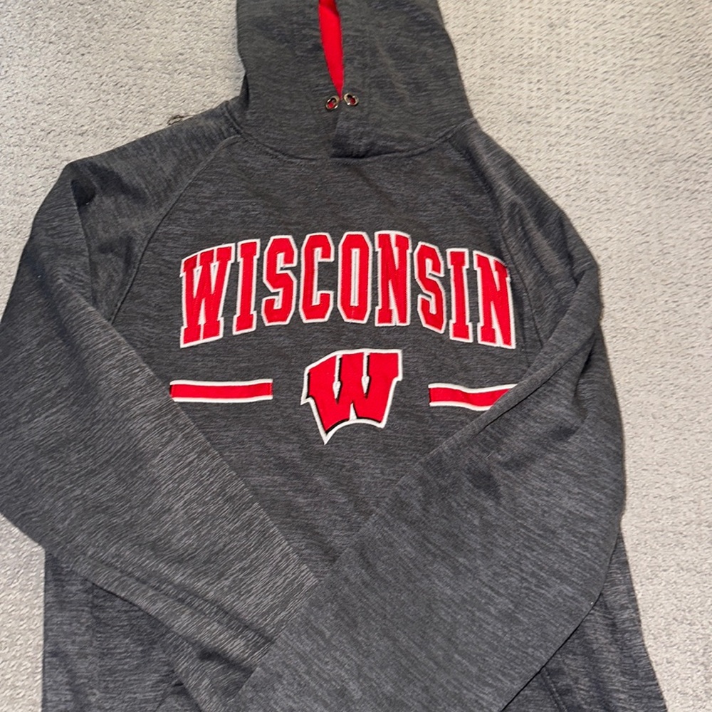All grey wisconsin hoodie